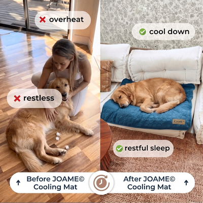 Cooling Mat